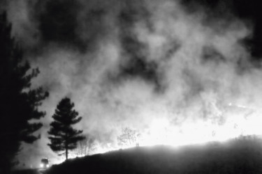 Photographie intitulée "Incendie de 2012 su…" par Alain Brasseur, Œuvre d'art originale