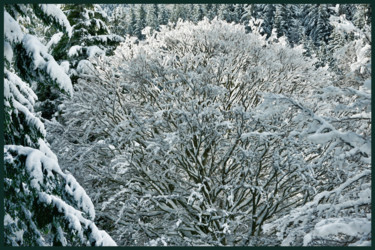 Fotografie mit dem Titel "Le bel hiver.....52" von Alain Brasseur, Original-Kunstwerk