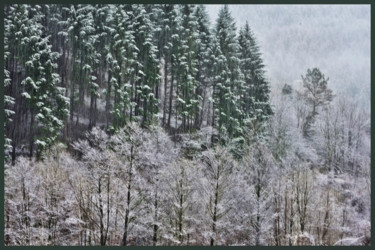 Photographie intitulée "Le bel hiver.....68" par Alain Brasseur, Œuvre d'art originale