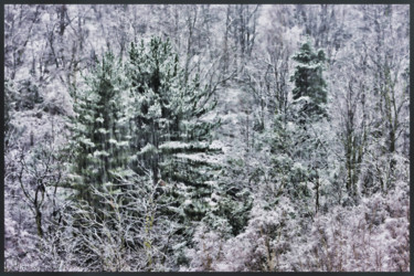 Photography titled "Le bel hiver.....70" by Alain Brasseur, Original Artwork