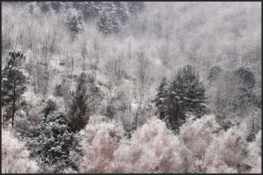 Photographie intitulée "Le bel hiver.....72" par Alain Brasseur, Œuvre d'art originale