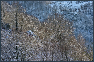 Photography titled "Le bel hiver.....73" by Alain Brasseur, Original Artwork