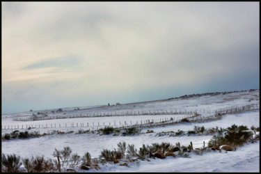 Photographie intitulée "Le bel hiver.....06" par Alain Brasseur, Œuvre d'art originale