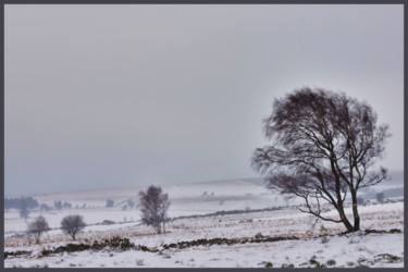 Photographie intitulée "Le bel hiver.....130" par Alain Brasseur, Œuvre d'art originale