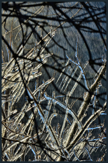 Photographie intitulée "Le bel hiver.....137" par Alain Brasseur, Œuvre d'art originale