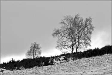 Photographie intitulée "Le bel hiver.....142" par Alain Brasseur, Œuvre d'art originale