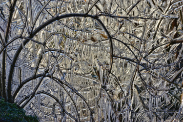 Photographie intitulée "Le bel hiver.....164" par Alain Brasseur, Œuvre d'art originale