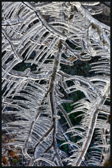 Photographie intitulée "Le bel hiver.....182" par Alain Brasseur, Œuvre d'art originale