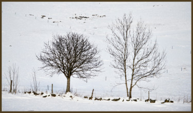 Fotografie getiteld "Le bel hiver.....195" door Alain Brasseur, Origineel Kunstwerk