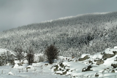 Photographie intitulée "Le bel hiver 235" par Alain Brasseur, Œuvre d'art originale