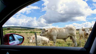 Photography titled "Arrêt au stop." by Alain Brasseur, Original Artwork