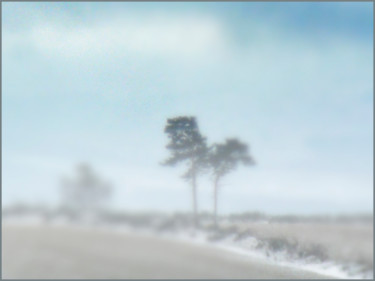 Photographie intitulée "Le bel hiver.....239" par Alain Brasseur, Œuvre d'art originale