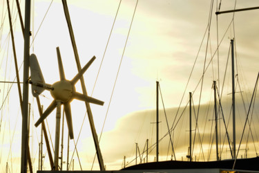 Fotografía titulada "Marine" por Alain Brasseur, Obra de arte original