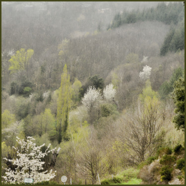 Photography titled "Le printemps s'inst…" by Alain Brasseur, Original Artwork