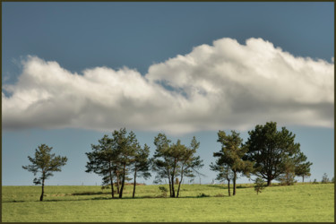 Photography titled "Mont lozére." by Alain Brasseur, Original Artwork