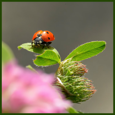 Photography titled "Paré à décoller." by Alain Brasseur, Original Artwork