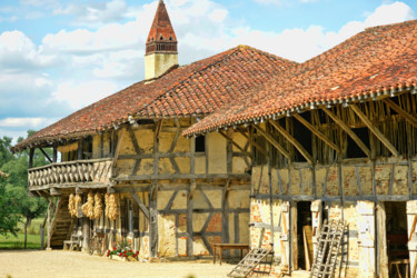 Photographie intitulée "Ferme Bressane" par Alain Brasseur, Œuvre d'art originale