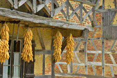 Photographie intitulée "Ferme Bressane....3" par Alain Brasseur, Œuvre d'art originale