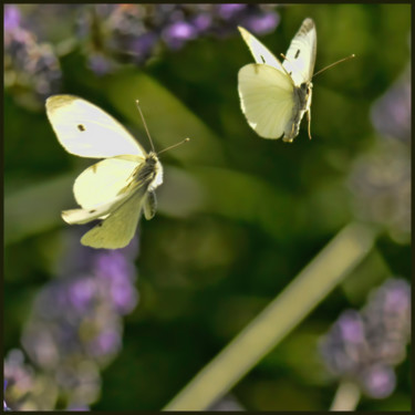 Photography titled "C'est si bon..de pa…" by Alain Brasseur, Original Artwork