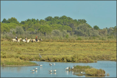 Photographie intitulée "Camargue" par Alain Brasseur, Œuvre d'art originale