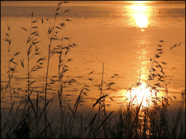 Photography titled "Etang de Pérols  en…" by Alain Brasseur, Original Artwork