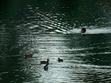 Photography titled "Solidarité canicule." by Alain Brasseur, Original Artwork