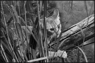 Photographie intitulée "Le quart d'heure de…" par Alain Brasseur, Œuvre d'art originale