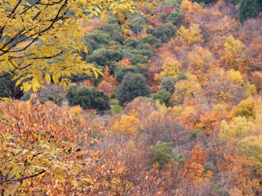 Fotografía titulada "La palette Cévenole…" por Alain Brasseur, Obra de arte original