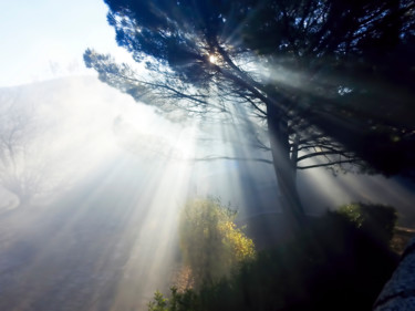 Photographie intitulée "Chatoiement du sole…" par Alain Brasseur, Œuvre d'art originale