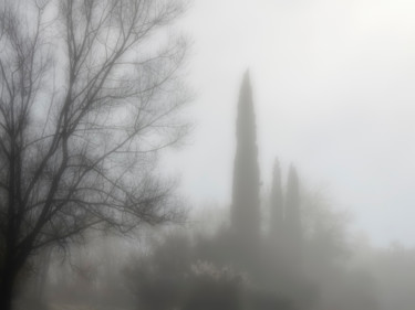 "Brouillard" başlıklı Fotoğraf Alain Brasseur tarafından, Orijinal sanat