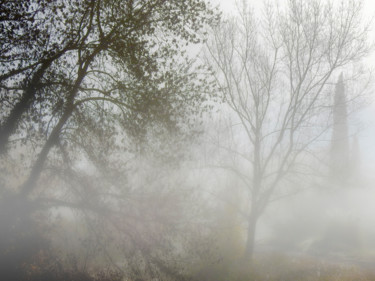 Photographie intitulée "Brouillard." par Alain Brasseur, Œuvre d'art originale