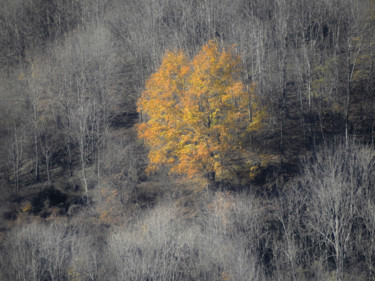 Fotografia intitulada "Résistance. 2" por Alain Brasseur, Obras de arte originais