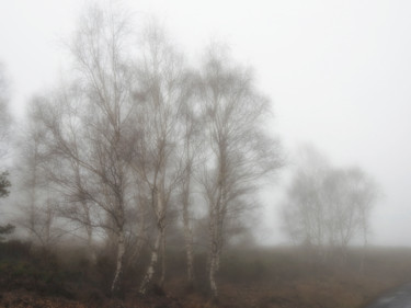 Photography titled "Journée brouillard." by Alain Brasseur, Original Artwork