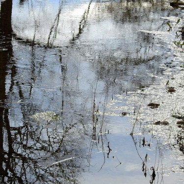 Photographie intitulée "La rivière enchanté…" par Alain Brasseur, Œuvre d'art originale