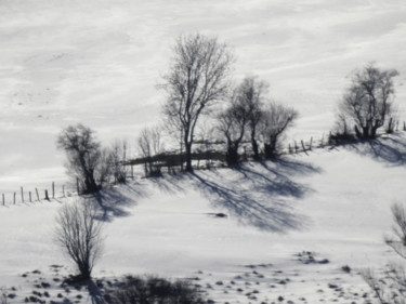 Photography titled "Journée hivernale." by Alain Brasseur, Original Artwork