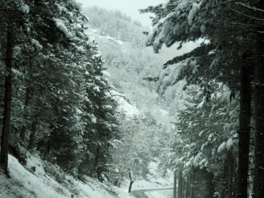 Photographie intitulée "Enneigement tardif." par Alain Brasseur, Œuvre d'art originale