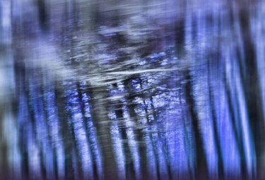 Fotografia intitolato "Le bois des dames." da Alain Brasseur, Opera d'arte originale