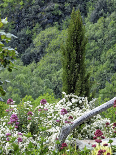 Fotografie getiteld "Montagne Fleurie" door Alain Brasseur, Origineel Kunstwerk