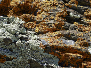 Photographie intitulée "Lichens.38" par Alain Brasseur, Œuvre d'art originale