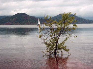 Fotografia intitolato "Lac du Salagou  (Hé…" da Alain Brasseur, Opera d'arte originale