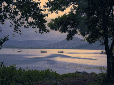 Фотография под названием "Lac de Salagou (Her…" - Alain Brasseur, Подлинное произведение искусства