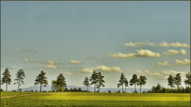 Photography titled "Mont Lozère 8" by Alain Brasseur, Original Artwork