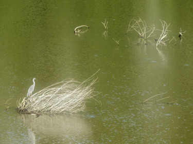 Photography titled "Sur le lac des Camb…" by Alain Brasseur, Original Artwork