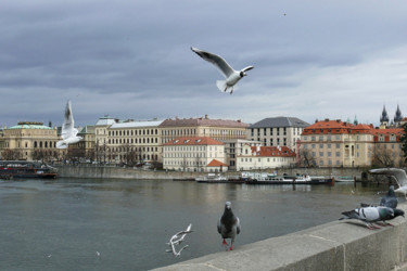 Photographie intitulée "Les oiseaux du pont…" par Alain Brasseur, Œuvre d'art originale