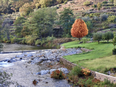 Photography titled "Paysage Cévenol." by Alain Brasseur, Original Artwork