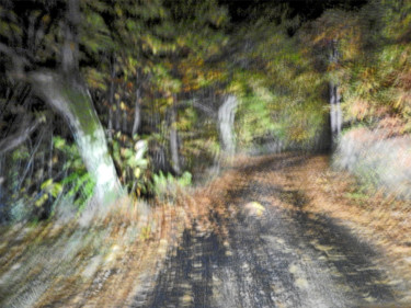 Photography titled "On the road... 4" by Alain Brasseur, Original Artwork