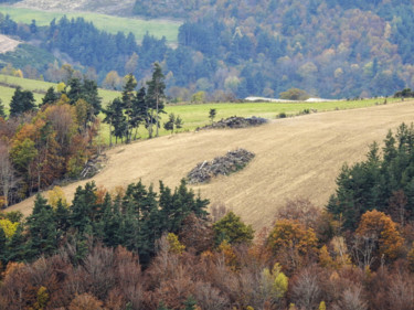 Photography titled "Paysage en Gévaudan" by Alain Brasseur, Original Artwork