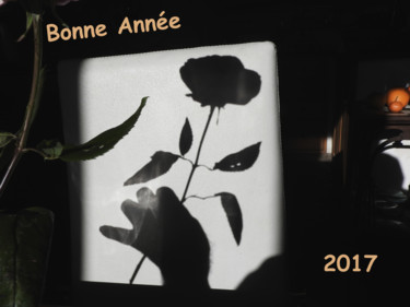 Photography titled "bonne-année 2017" by Alain Brasseur, Original Artwork