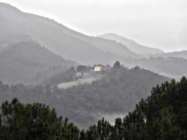 Photography titled "Foggy day." by Alain Brasseur, Original Artwork