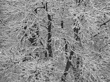 Photographie intitulée "Hiver" par Alain Brasseur, Œuvre d'art originale